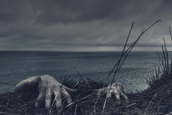 Schreie am Meer
